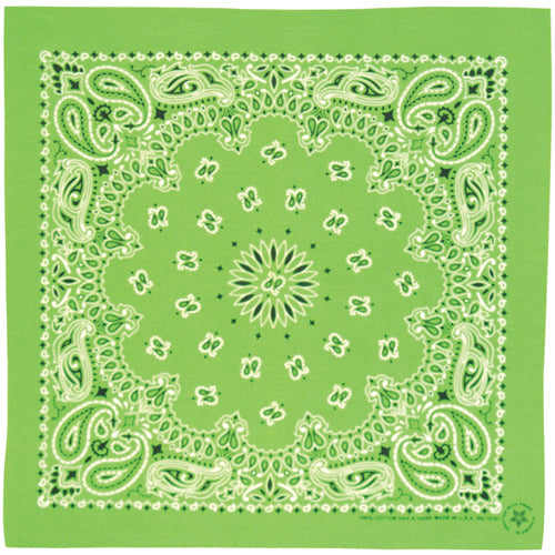 Kelly Green Paisley