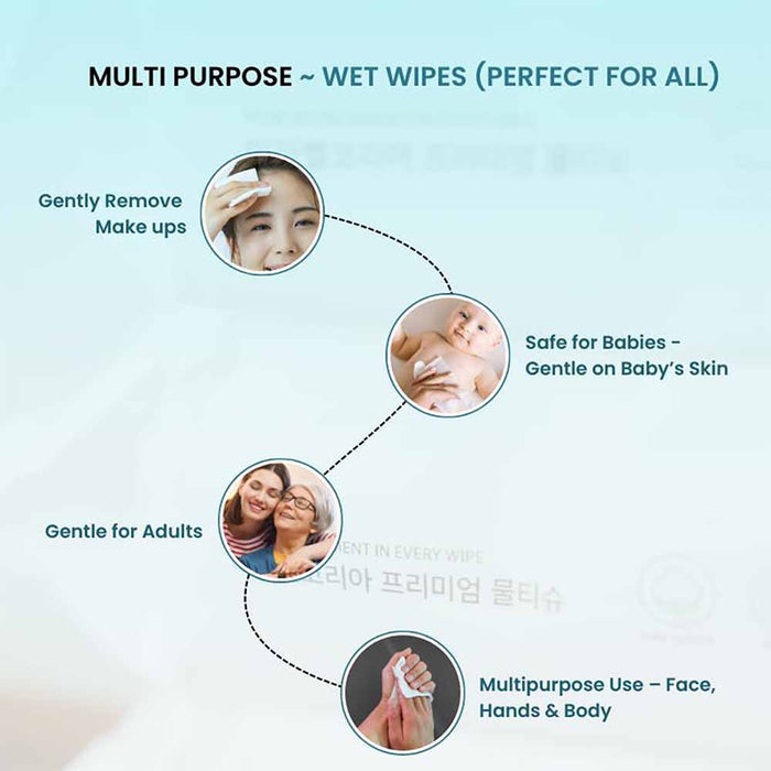 Makeup Remover Wet Wipes ( 100 Wipes )