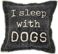 Sleep Washed Canvas Dog Pillow
