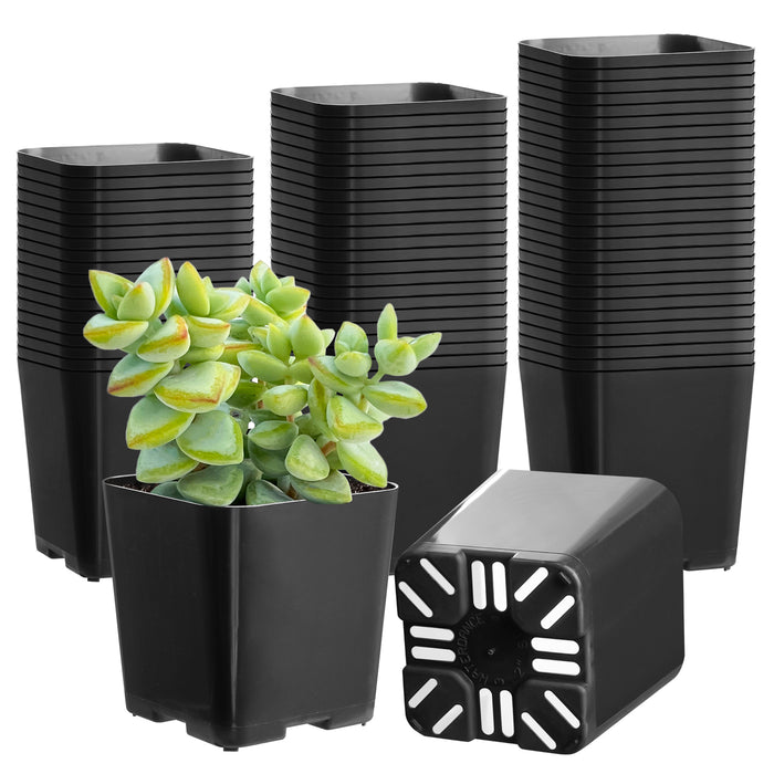 2" Nursery Pots Sets (Only Pots)