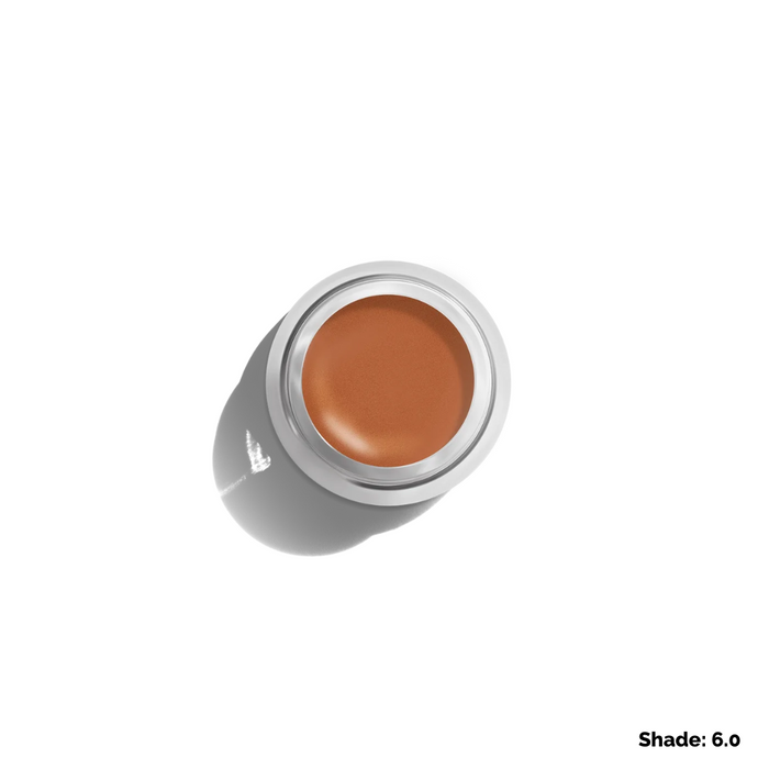 6.0 - Neutral / Dark
