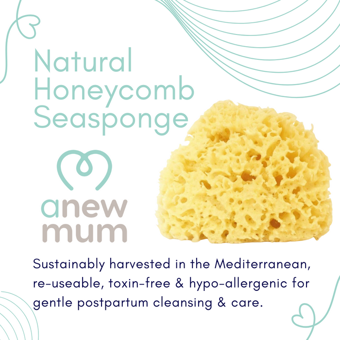 Anewmum – Natural Honeycomb Sea Sponge