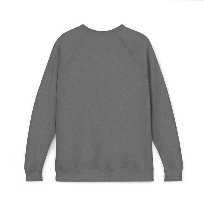 AVC RIG Fleece Raglan Sweatshirt
