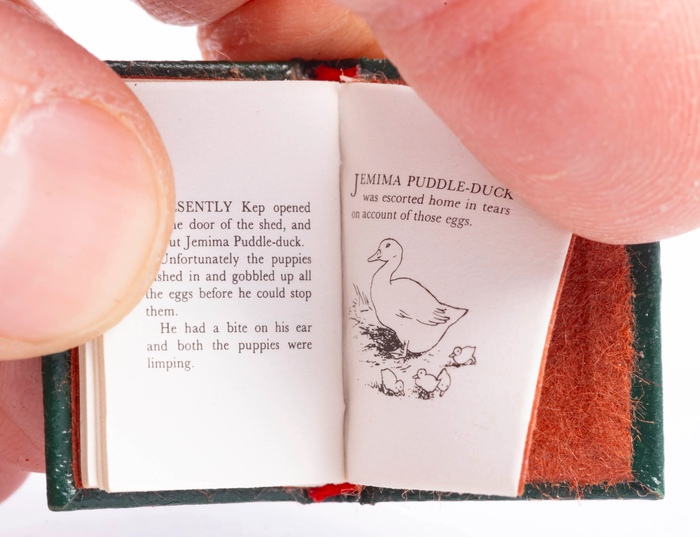 Barbara Raheb Book - The Tale of Jemima Puddle Duck