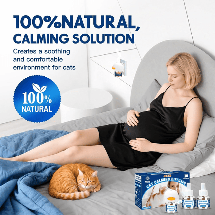 Cat Calming Pheromones Diffuser - 3 - in - 1 Kit for Stress Relief - Branwell & Co