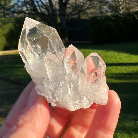 Clear Quartz Cluster
