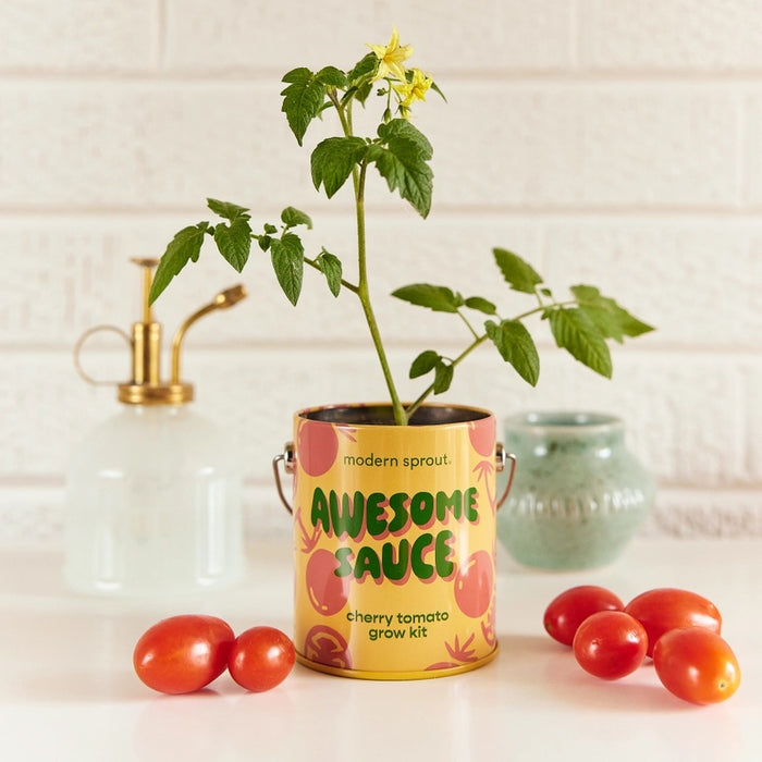 Complimentary Colors Grow Kit