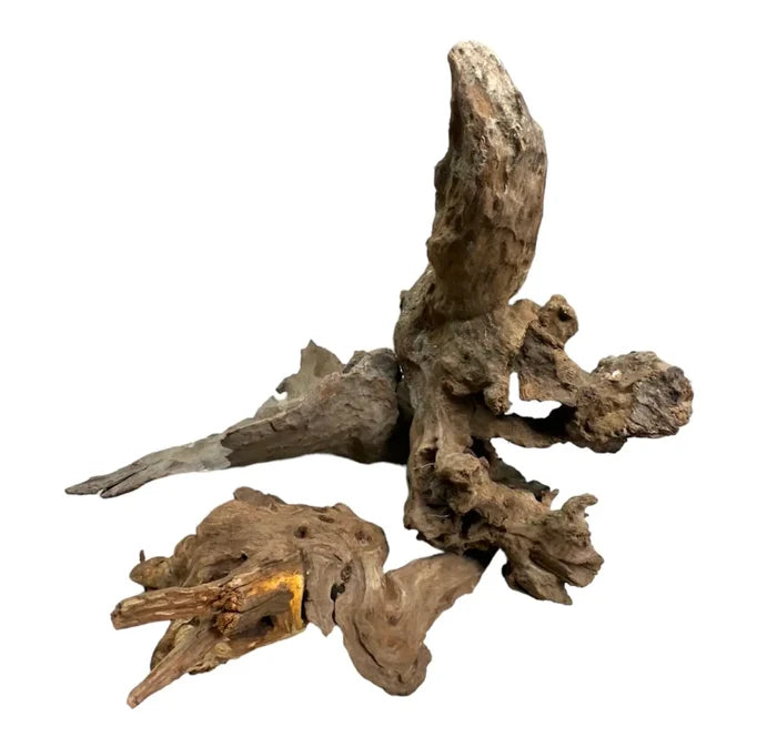 Congo Wood — natural aquarium driftwood with weathered curves