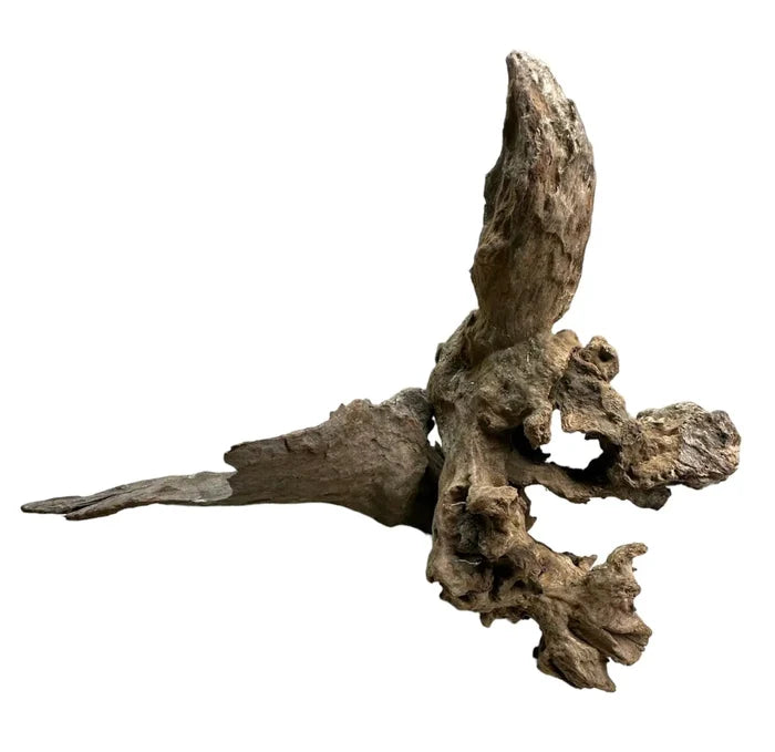 Weathered Congo Wood driftwood with rough texture and natural brown tones