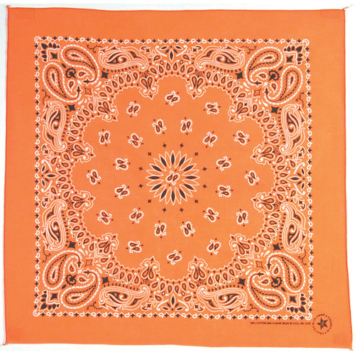 Orange Paisley