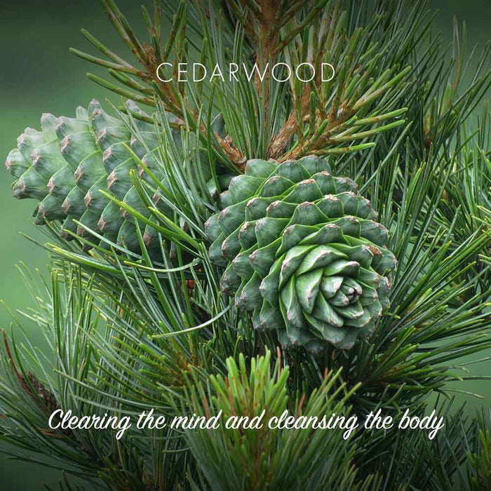 Friendly Soap - Cedarwood &Keep