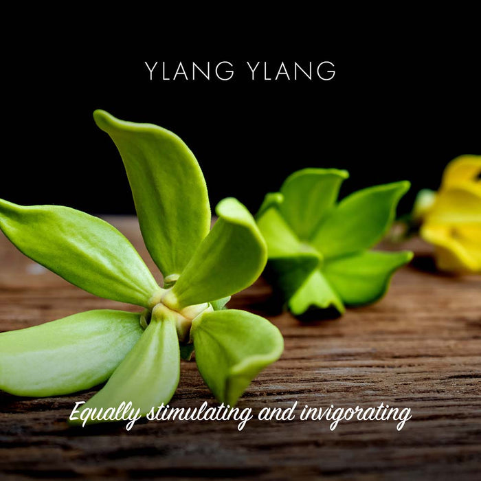 Friendly Soap - Ylang Ylang &Keep