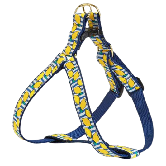 MAKE-LEMONADE-DOG-HARNESS