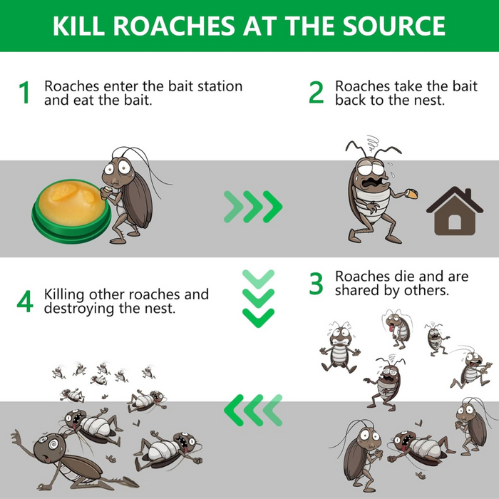 InsectoStop™ | Roach Repellent