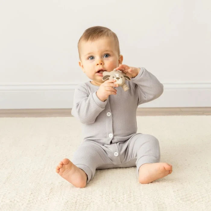 Itzy Ritzy Molar Teether - Puppy