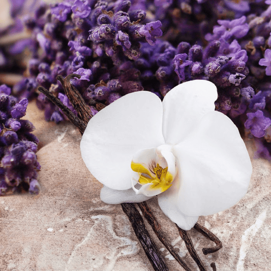 Lavender Vanilla Fragrance Oil for Candles