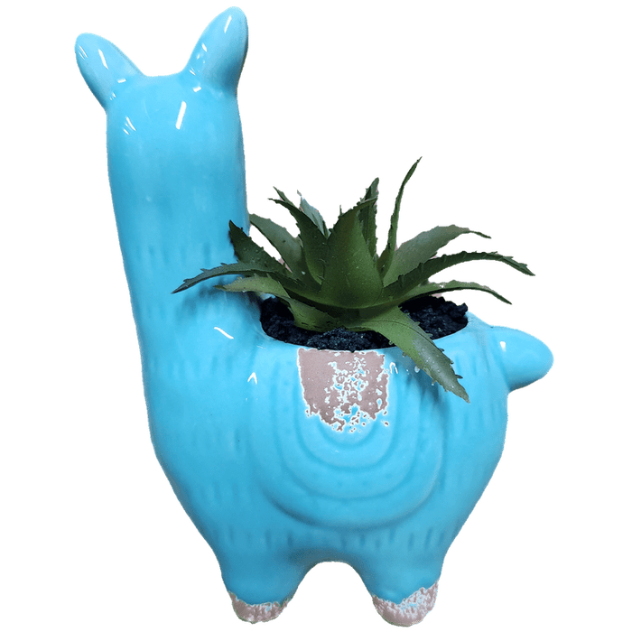 Llama Succulent Faux, Aqua
