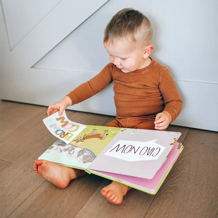 Lucy Darling 'Gotta Go, Buffalo' Lift the Flap Book