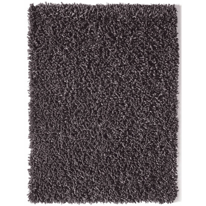 Maine Rug Fossil 1