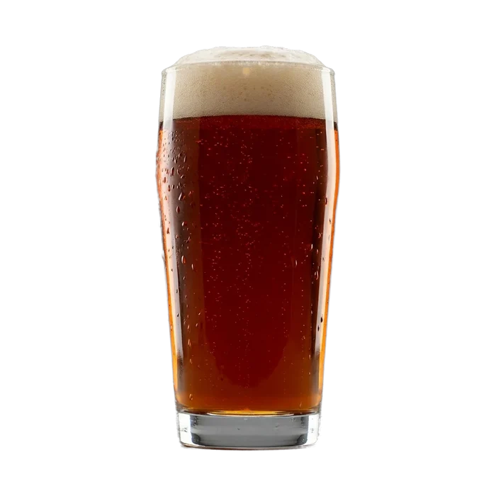 Martin's Munich Dunkel Recipe Kit