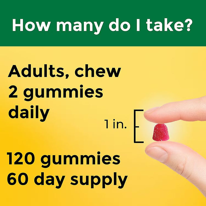 Nature Made High Absorption Magnesium Citrate 200 mg Gummies, 120 Count