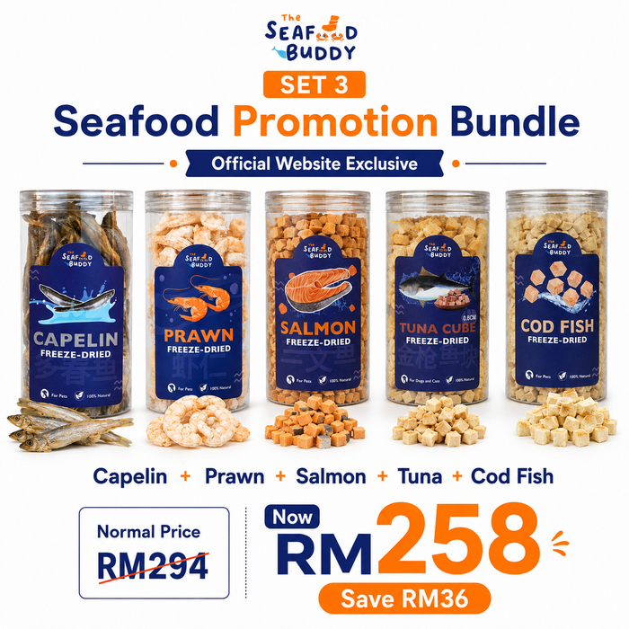 SeafoodBuddy |  OCEAN STARTER BUNDLE | Official Website Deals ⚡️📦