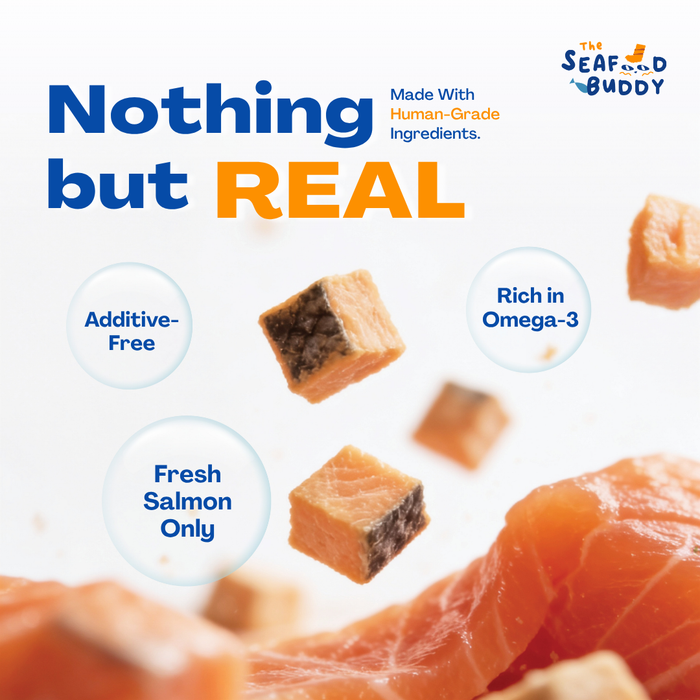 SeafoodBuddy |  OCEAN STARTER BUNDLE | Official Website Deals ⚡️📦
