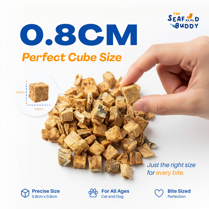 SeafoodBuddy |  OCEAN STARTER BUNDLE | Official Website Deals ⚡️📦