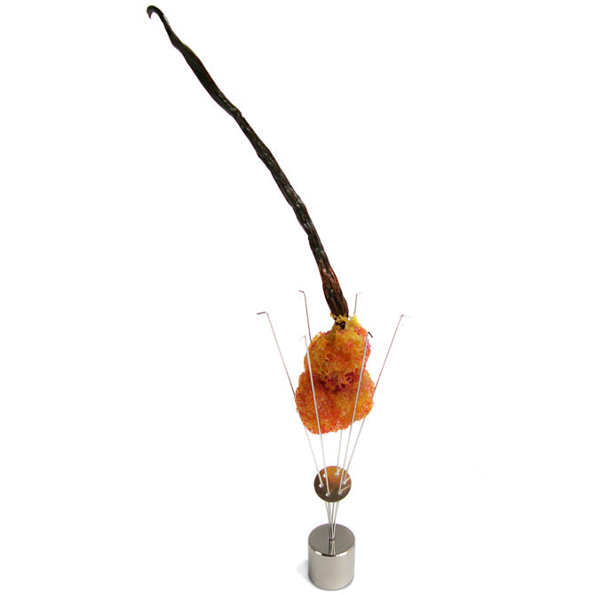 "Squid" Wire Food Holder