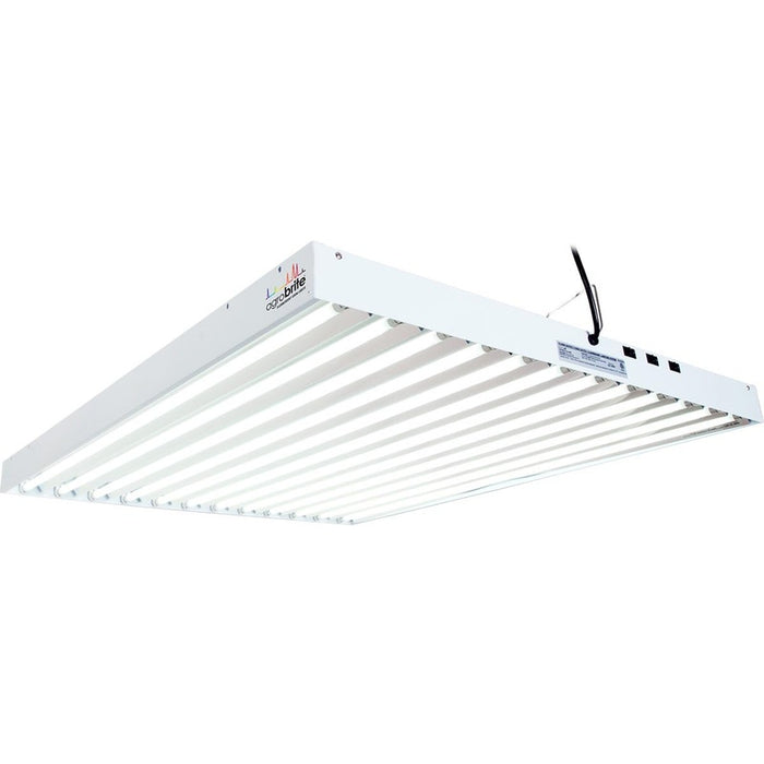 T5 Fixture 12 Light, 648-watt Pre-Owned
