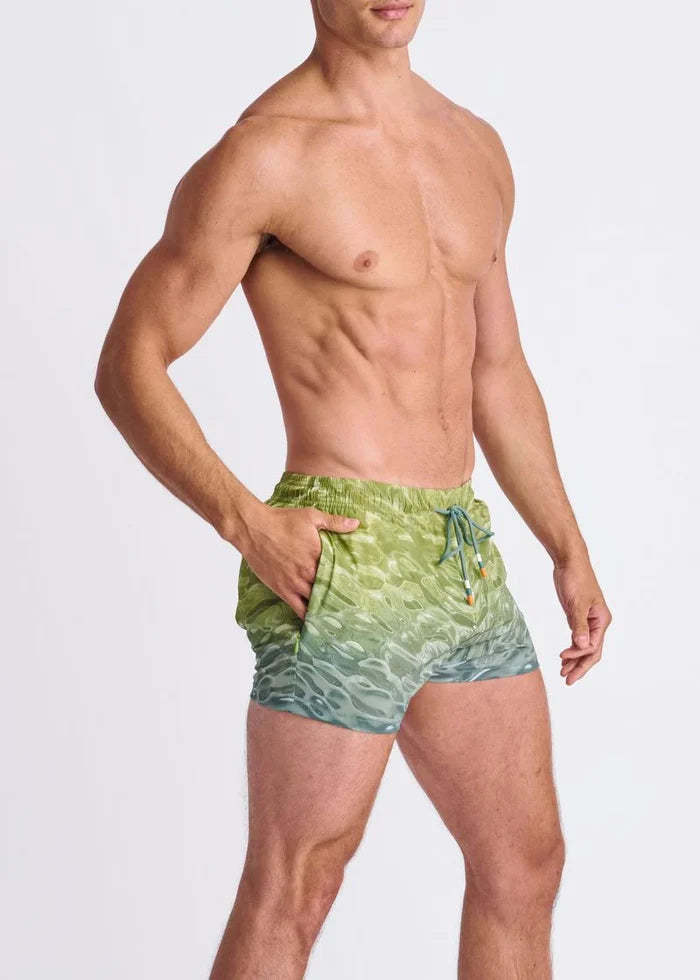 Teal/Green Pool 2.5" Inseam Printed Swim Shorts W/ Mesh Lining PM-6002-63