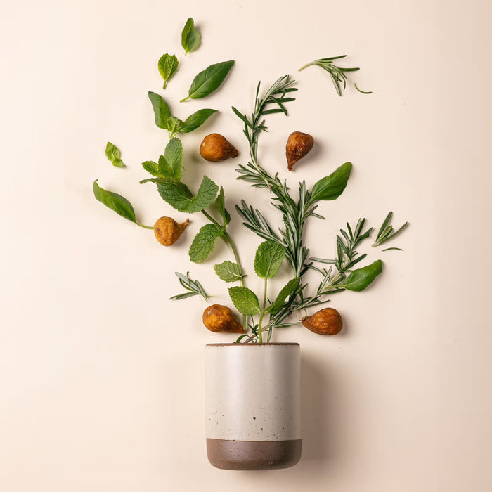 The Candle in Still Life | East Fork Pottery