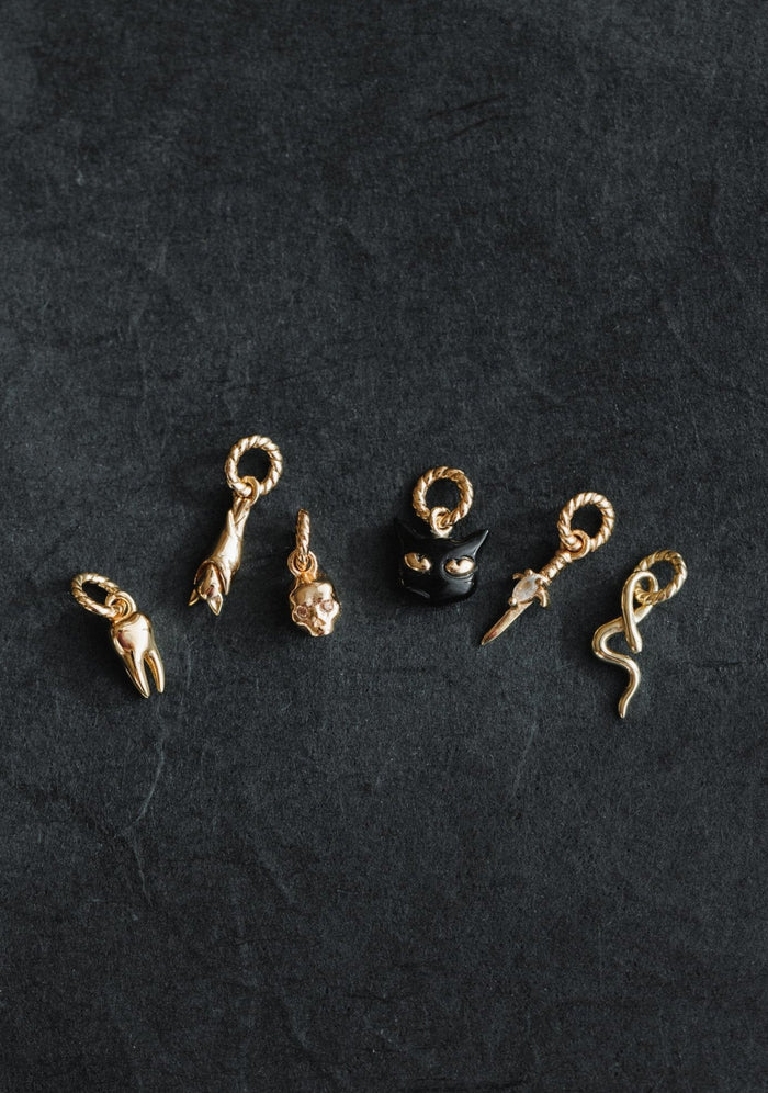 Tooth Charm