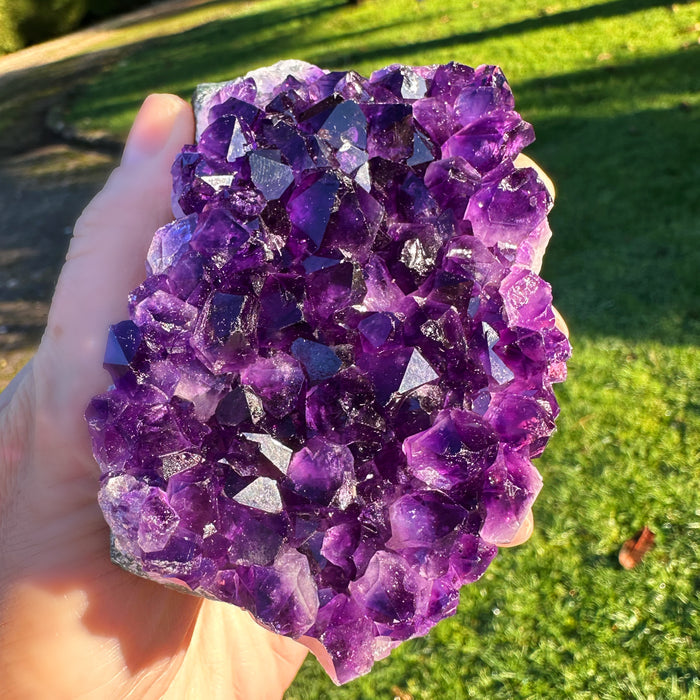 Uruguayan Amethyst Cluster (medium)