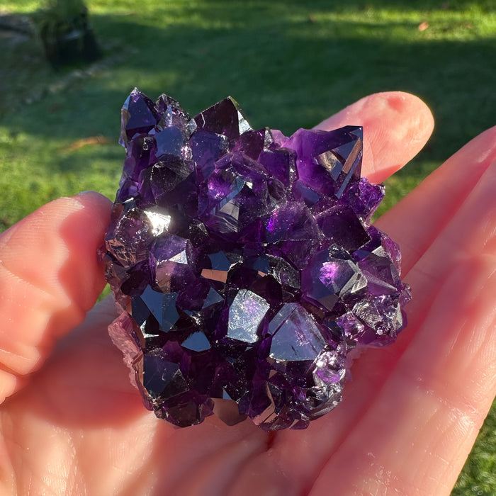 Uruguayan Amethyst Cluster (small)